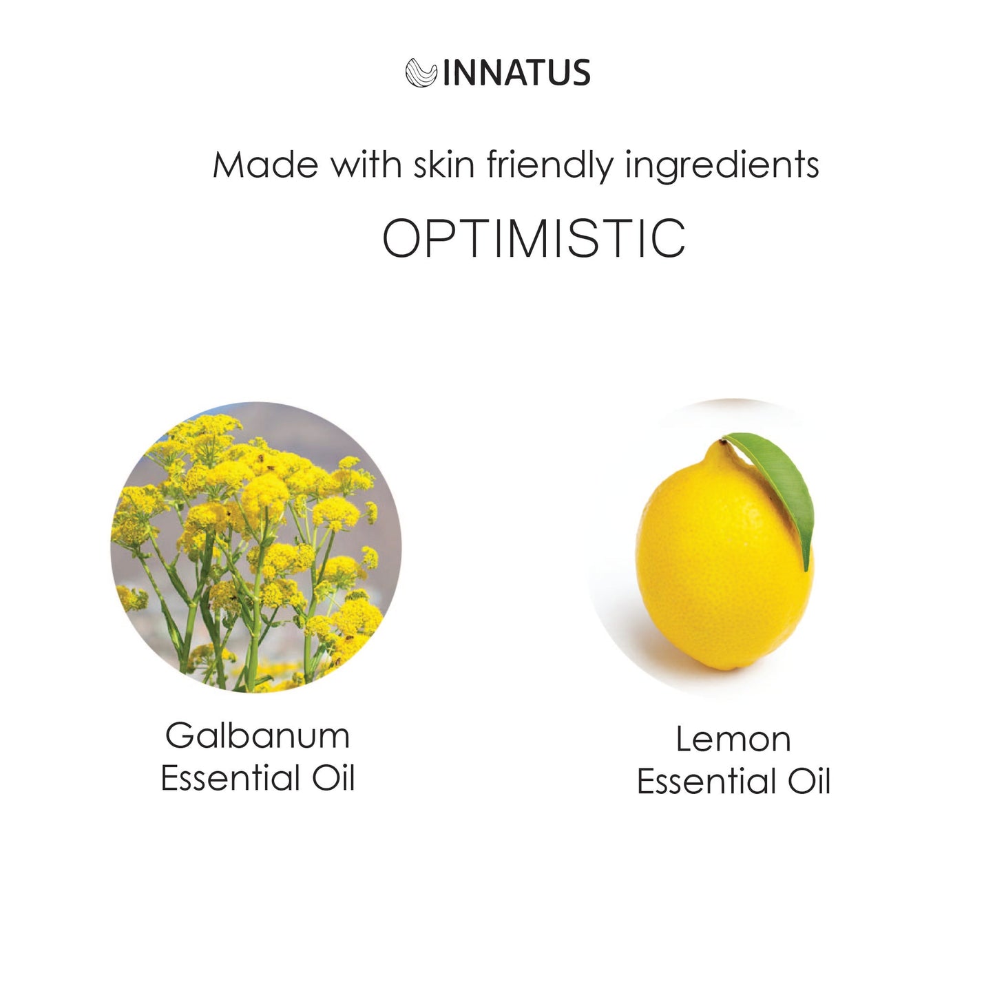 Essential Oil Aromatherapy Optimistic Mist