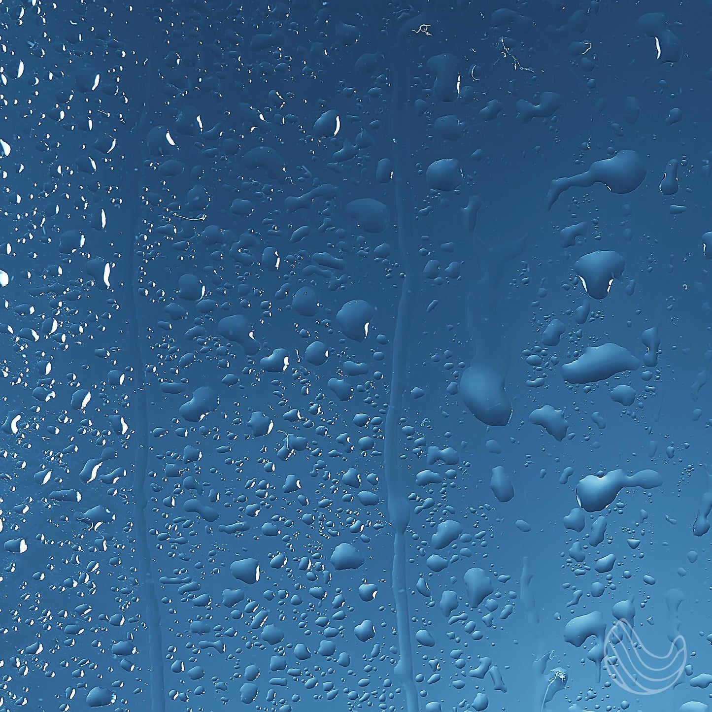 Soothing Shower Spray Eucalyptus Oil with a Whiff of Peppermint