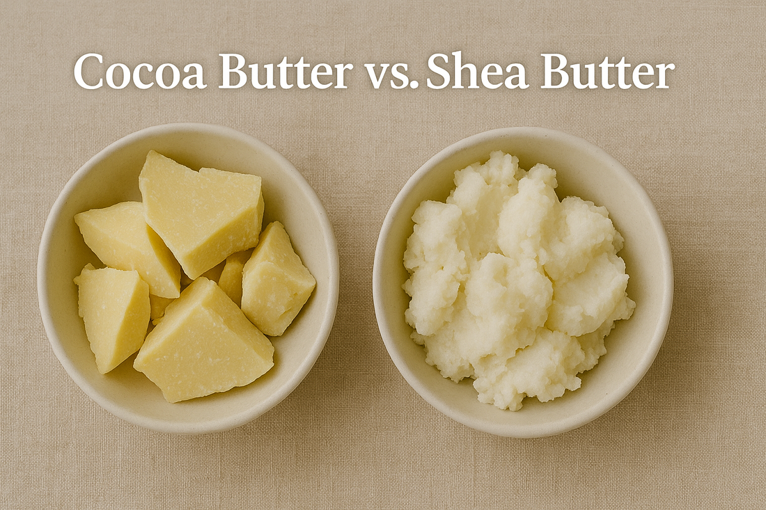 Cocoa Butter vs. Shea Butter — Which is Better for Your Skin?
