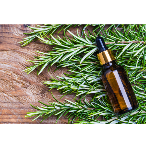 The Power of Rosemary Oil: A Must-Have for Healthy Hair and Skin