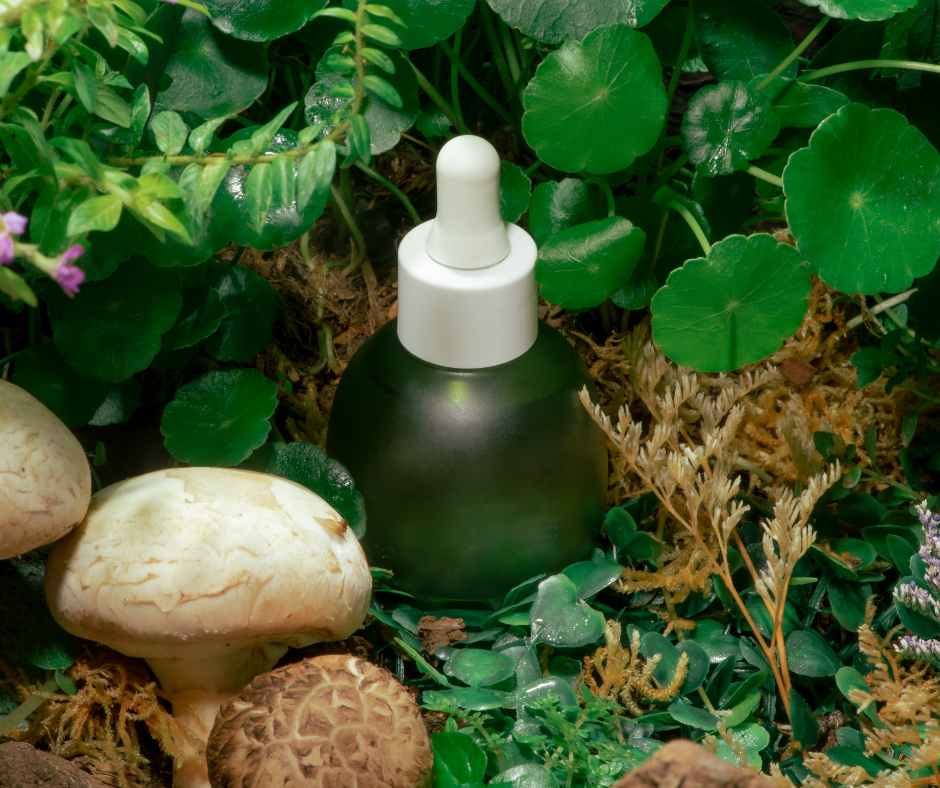 The Refreshing Power of Peppermint Oil: Benefits for Your Body and Mind