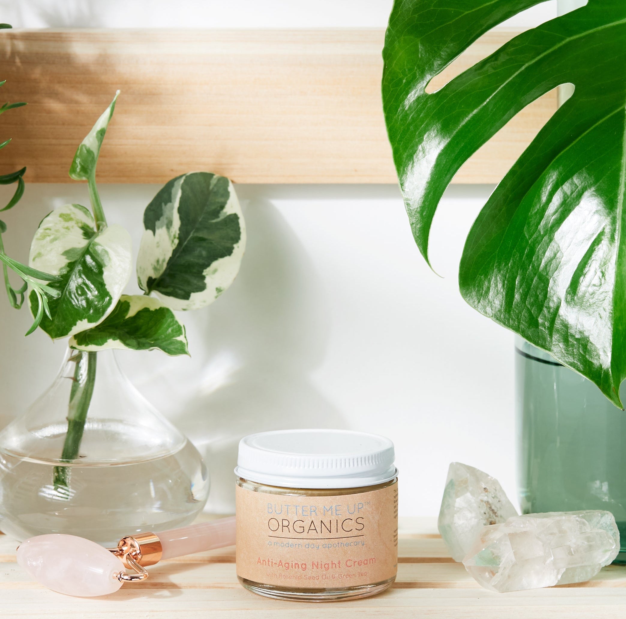 Anti Aging Night Cream Face Moisturizer Organic Green Tea