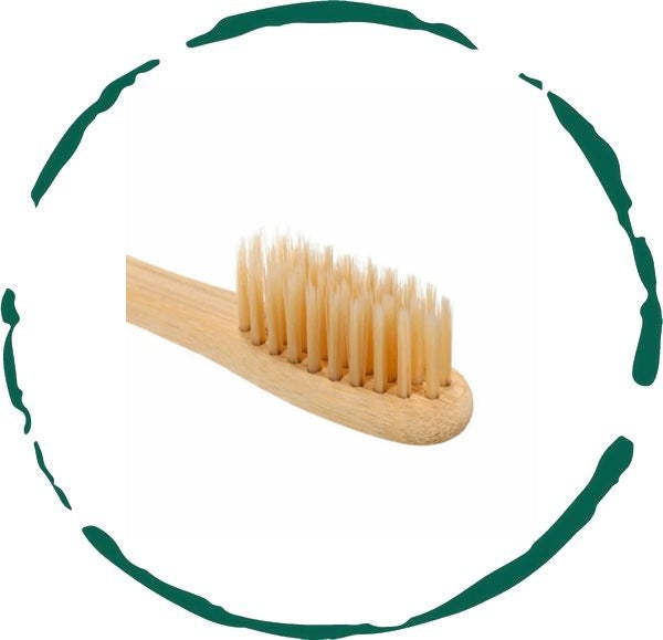 Bamboo Toothbrush