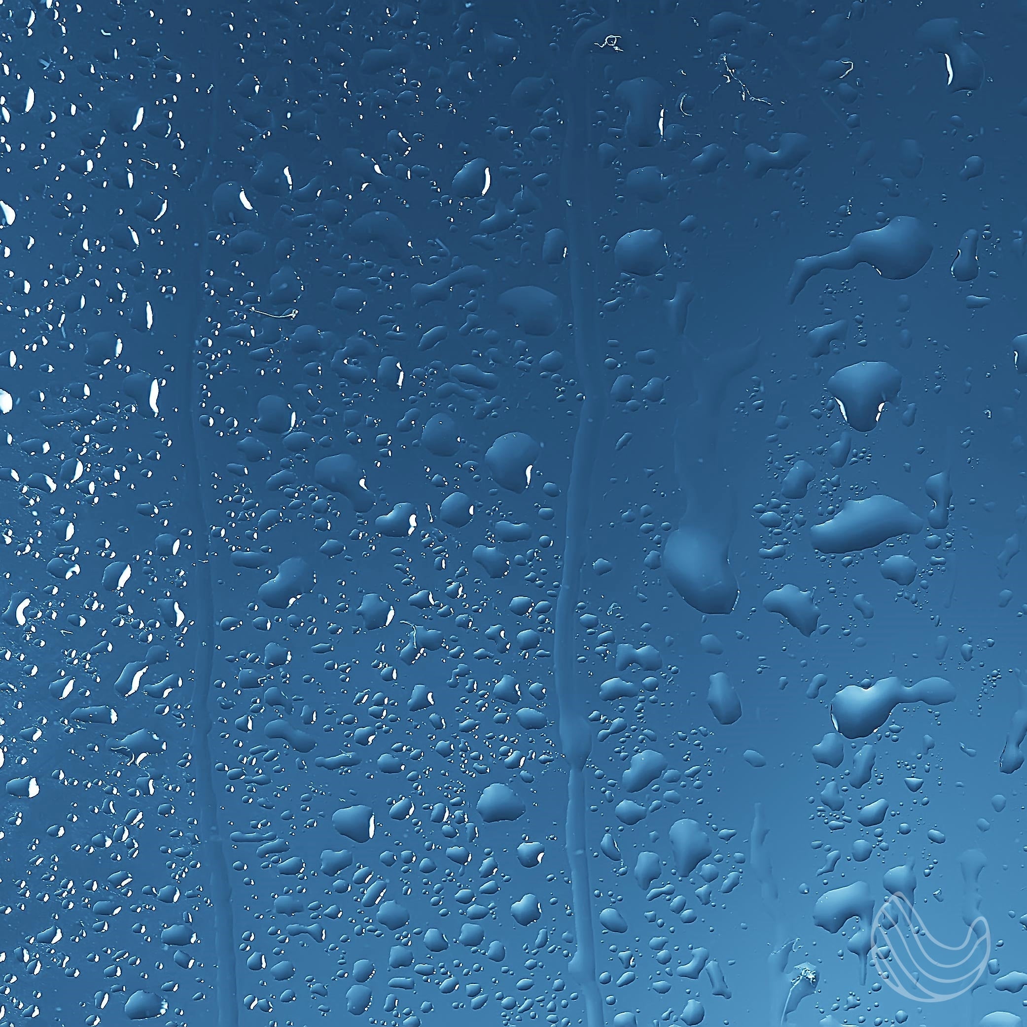 Shower Spray Eucalyptus Oil with a Whiff of Cedarwood