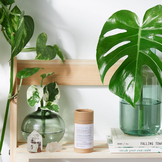 Natural Organic Sunscreen