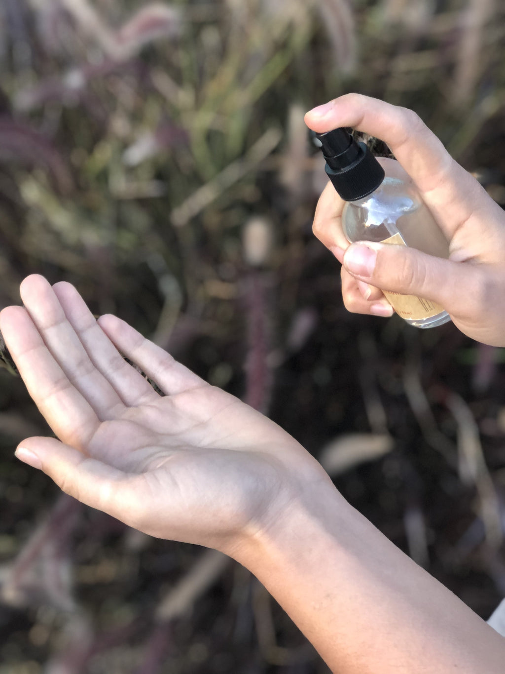 Organic Hand Sanitizer Triclosan Free